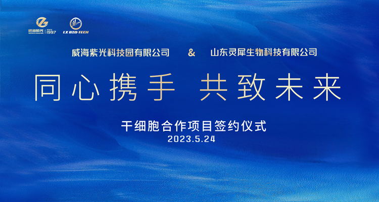  New Fields and Breakthroughs  Weihai Purple Light and Sha